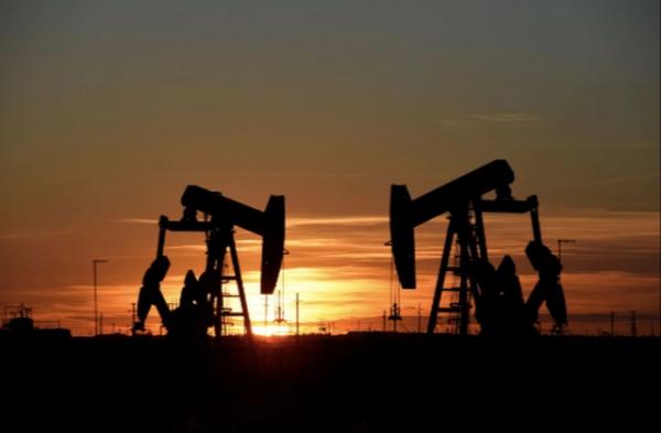 Oil prices rose to the highest level in more than 2 years, possibly reaching 80 USD/barrel in the third quarter