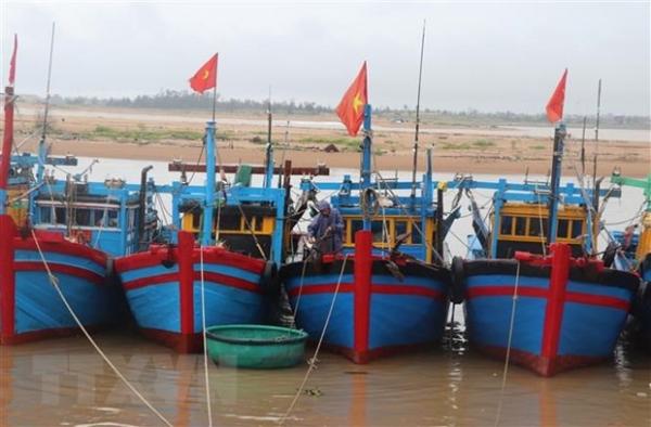 Các tỉnh từ Quảng Ninh đến Khánh Hòa chủ động ứng phó với vùng áp thấp