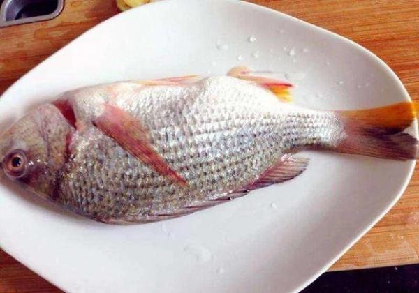 3 loại cá là “bể chứa” chất gây ung thư và kim loại nặng tuyệt đối đừng nên mua, nhưng nhiều người không biết vẫn ăn hàng ngày