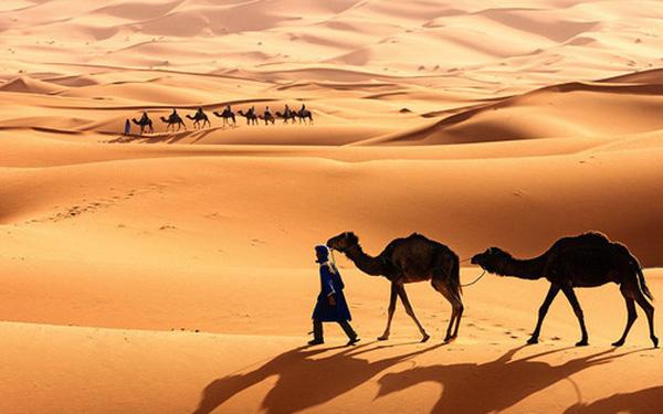 Ta có thể biến sa mạc Sahara thành nhà máy năng lượng mặt trời lớn nhất thế giới không?