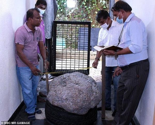 Châu Á: Đào giếng vô tình vớ “kho báu” khổng lồ, trị giá 100 triệu USD