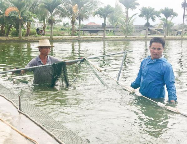 U70 có “biệt tài” ươm cá giống, bán cả sang Lào, thu tiền tỷ/năm