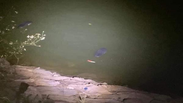 Bắc Giang: Một phụ nữ đuối nước tại hồ Công viên Hoàng Hoa Thám
