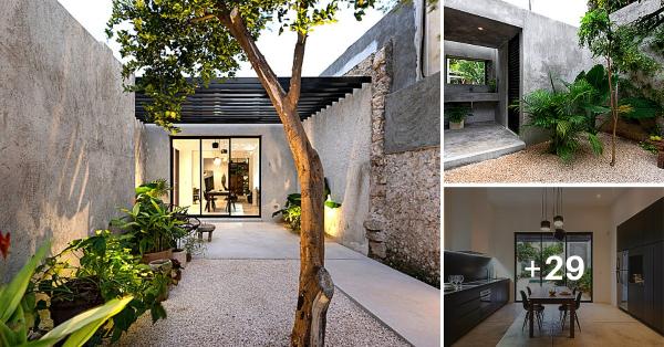 Loft House, Exposed Cement Wall and Cool Interior Design