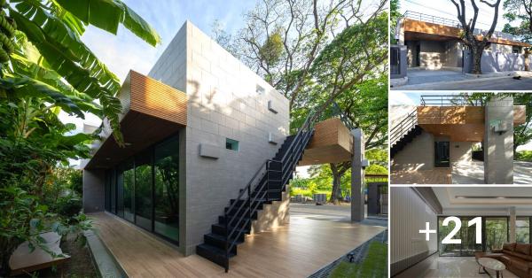 Cool Modern Box House With Rooftop, Harmonious With Green Garden