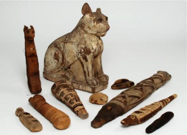 70 Million Mummified Animals in Egypt Reveal Dark Secret of Ancient Mummy Industry