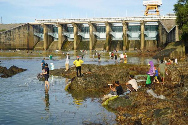 Lại đổ xô săn cá “khủng” ở đập thủy điện Trị An
