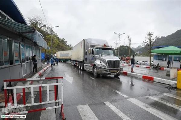 Lạng Sơn phản bác thông tin “thế lực ngầm” hành hung tài xế ở cửa khẩu