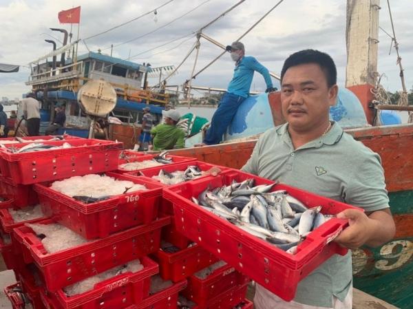 1 ngư dân Quảng Bình trúng đậm luồng cá 250 tấn bán được 2,4 tỉ đồng