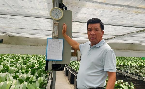 “Đại gia nông dân Hải Phòng” đầu tư đất xây dựng mô hình hoa lan công nghệ cao, thu lãi 1 tỷ đồng/1ha