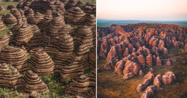 The “giant beehives” that exist for millions of years are unique on the planet