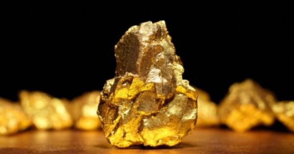 Bacteria discovered in 1976 can turn metal into gold