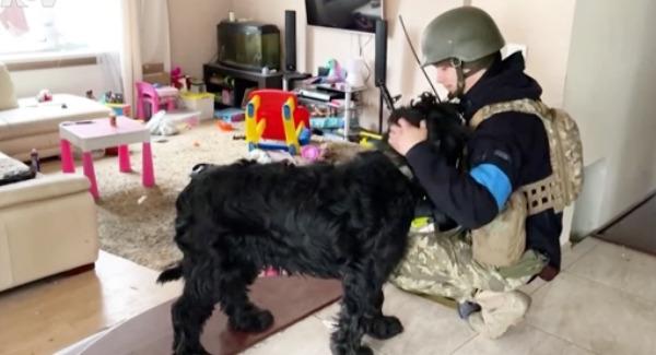 Ukʀainian Soldier Saves Dog Found In abandoned Village Home