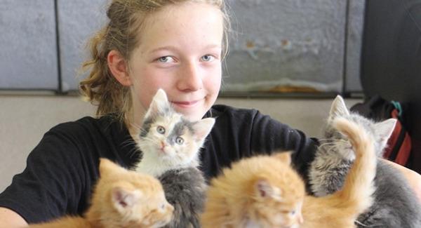 Girl Uses Birthday Money To Save 14 Abandoned Kittens Under The Rain