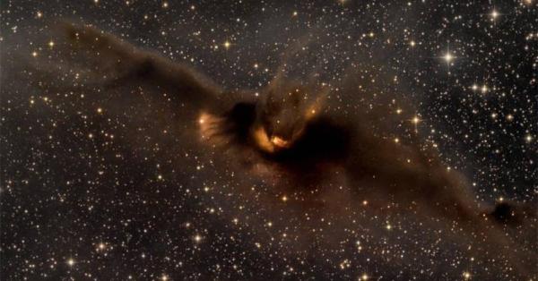 NASA captured a photo of a “giant bat” in space flying towards Earth