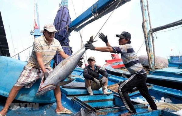 Bến Tre kêu gọi ngư dân chống khai thác thủy sản bất hợp pháp ​