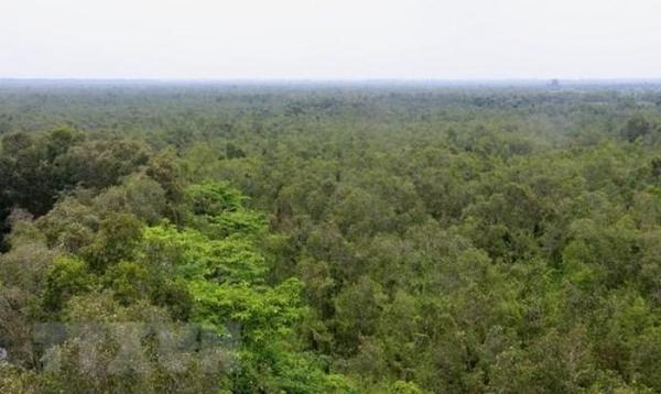 Trên 41.200ha rừng ở Kiên Giang có nguy cơ xảy ra cháy trong mùa khô