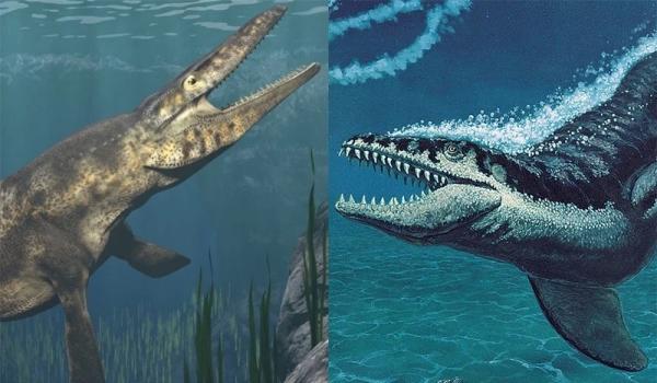 Lộ diện quái vật đại dương săn mồi “nhanh như chớp” 80 triệu năm trước