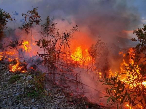 Hiện tượng lạ: Mặt đất tự bốc cháy liên tục ở Đắk Lắk