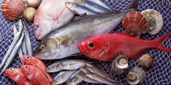 Có những loại cá “ngậm” nhiều thủy ngân, ra chợ thấy rẻ cũng đừng mua