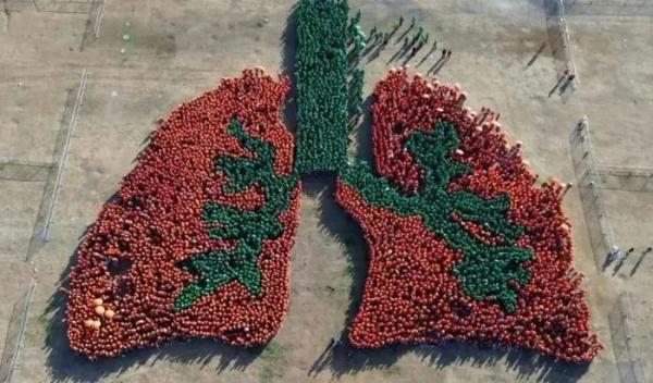 Philippines lập kỷ lục thế giới về hình lá phổi người lớn nhất