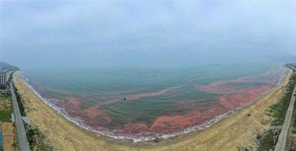 Diễn biến mới vụ nước biển có màu đỏ lạ trải dài gần 3km ở Hà Tĩnh