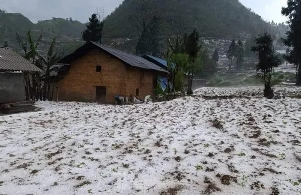 Cận cảnh mưa đá gây thiệt hại lớn ở các tỉnh miền núi phía Bắc