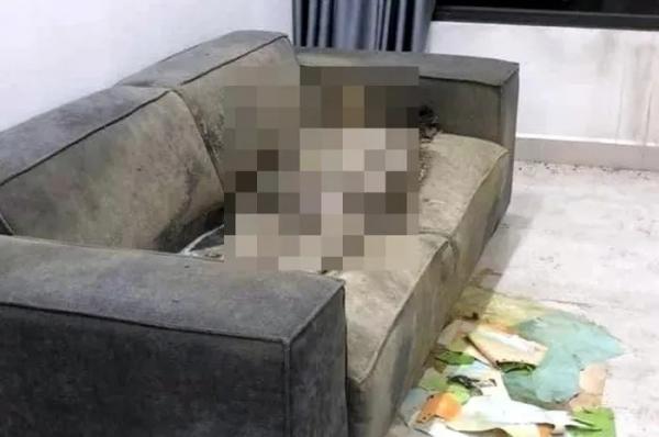Nhiều tình tiết mới vụ th‌i th‌ể trên sofa ở chung cư Hà Nội