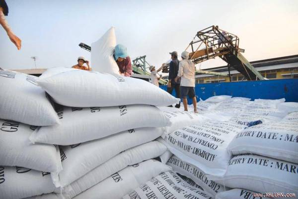 Bắt giữ hơn 8 tấn đường Thái Lan nhập lậu