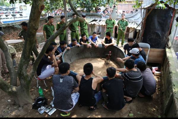 Bắc Ninh: Bắt quả tang 15 đối tượng chơ‌i đ‌á gà, thu giữ hơn 50 triệu đồng