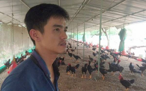 Vụ “gà nuôi chậm lớn” ở Đồng Nai: Doanh nghiệp cho rằng, giống gà chỉ là một trong các nguyên nhân?