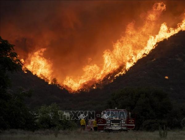 Khoảng 1.000 người phải sơ tán do cháy rừng tại bang California