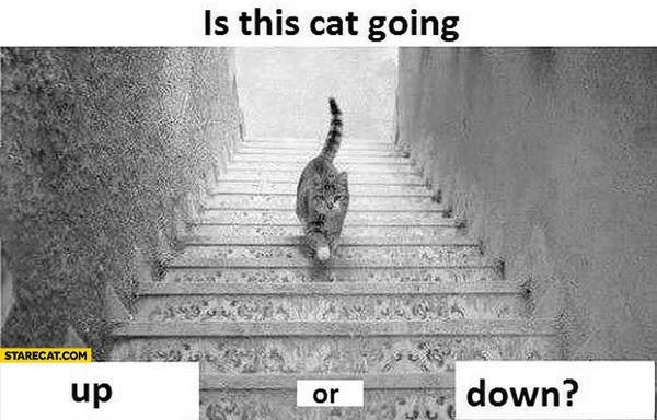 Giải mã tranh ảo giác “Chú mèo trên cầu thang” gây sốt
