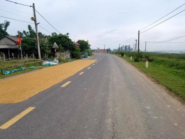 Quảng Trị: Những “cái bẫy” trên đường khi vào vụ thu hoạch