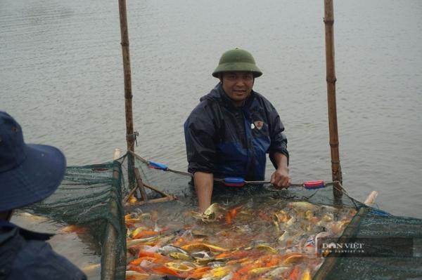 Nam Định: Nuôi loài cá “sang chảnh”, có con dài gần 1 mét, bán giá nghìn đô, 8X này thu tiền tỷ