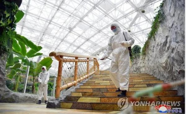 Triều Tiên thêm 167.000 ca sốt, xuất hiện dấu hiệu tích cực