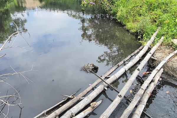 Đà Nẵng: Xử phạt hộ kinh doanh than Thái Đà làm tràn nước thải chưa qua xử lý ra môi trường