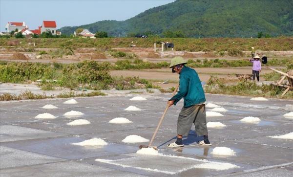 Thanh Hóa: Được giá, người dân vẫn không mặn mà với nghề làm muối