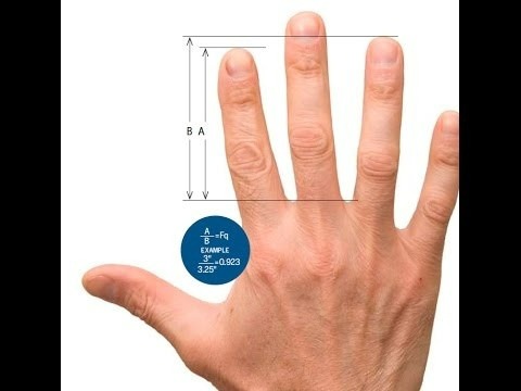 Nghiên cứu nói gì về quan hệ giữa ngón tay và tuổi thọ?