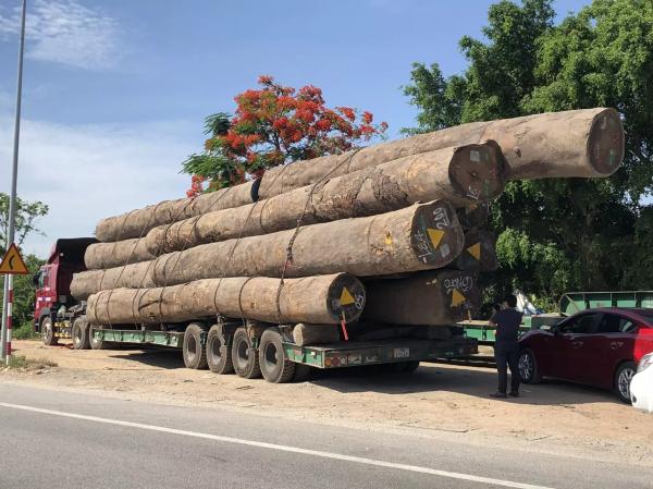 Tạm giữ xe chở gỗ lim ’siêu khủng’ từ Hải Phòng vào TP.HCM