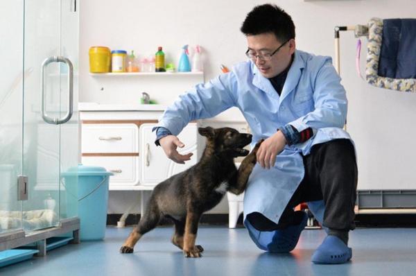 Rộ nghề huấn luyện thú cưng ở Trung Quốc