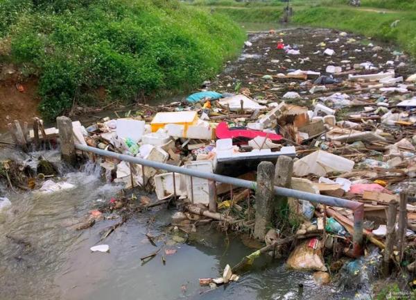 Bức xúc tình trạng rác thải, xác động vật xả thải ra kênh mương tại Quỳnh Lưu