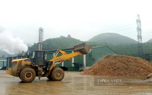 Trung Quốc chậm nhận hàng, chủ hàng Việt Nam phải giảm giá bán tinh bột sắn