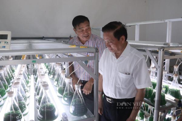 Nông dân xuất sắc 2022 Nguyễn Văn Hùng và lương duyên tiền tỷ với tảo xoắn, thành “vua” tảo miền Trung