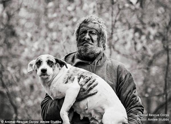 “Lão Hạc” vô gia cư thời hiện đại đau xót khi phải rời bỏ 31 chú chó cưng