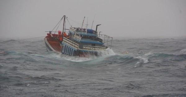 Quảng Bình: Cứu sống 8 thuyền viên trên tàu cá bị chìm ngoài khơi