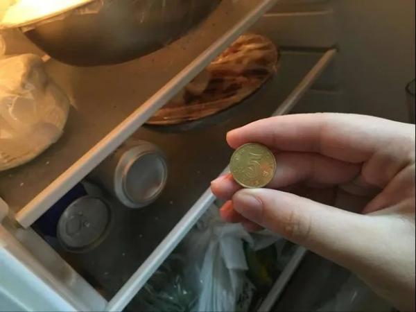Tại sao nên để một đồng xu trong tủ lạnh khi bạn vắng nhà?