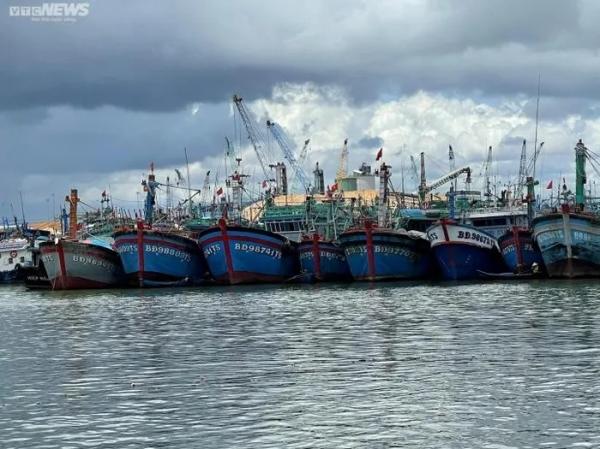 Ứng phó với bão Noru, Bình Định nghiêm cấm tàu cá xuất bến