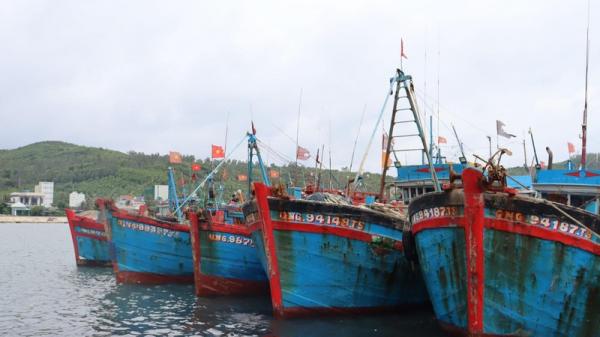 6 tàu cá Quảng Ngãi hoạt động ở Hoàng Sa thoát khỏi vùng nguy hiểm