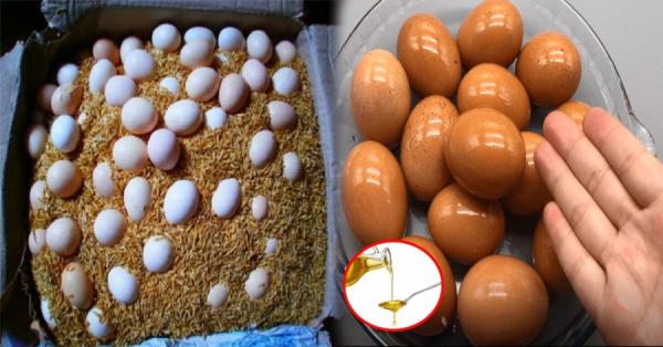 Đừng cho trứng vào tủ lạnh: Đây là cách bảo quản trứng cả nửa năm vẫn giữ nguyên chất bổ